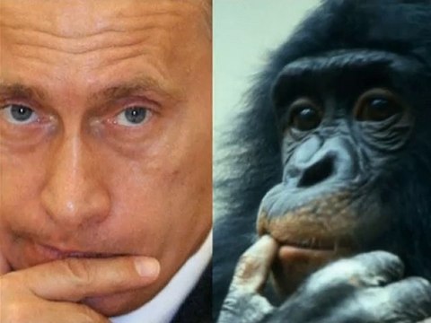 01_Le langage corporel des hommes politiques