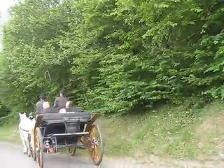 Mariage Virginie et Rodolphe 4