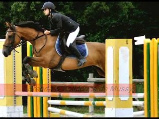 LAMOTTE 2010 ESCADRON DU GRAND PARC