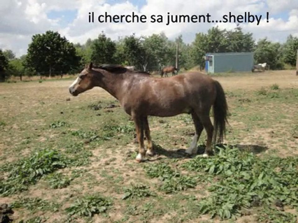 car wash toto ..et shelby  07-2010