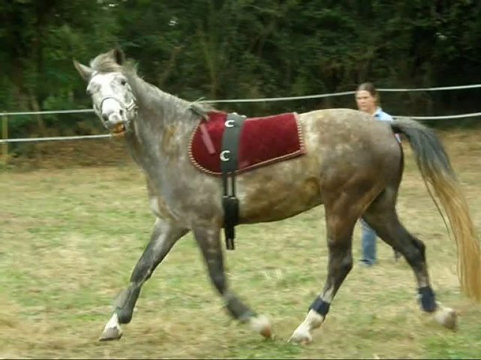 rebel de cirque version 3