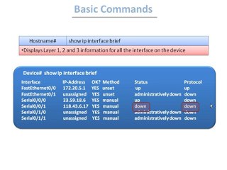 Discover Cisco: The Leader in Networking Solutions 🌐