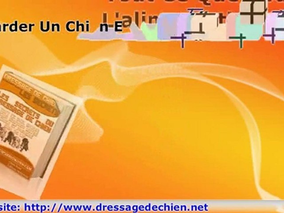 Dressage De Chien, Les secrets de pro pour bien le dresser v