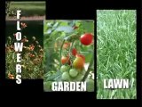 Guide to organic gardens, worm farms & red worms