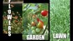 Guide to organic gardens, worm farms & red worms