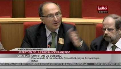 SEANCE,Audition de Jacques Attali par la commission de la culture et de l'économie