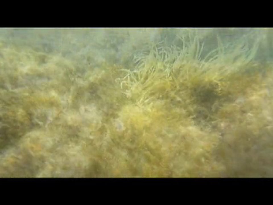 Capu Laurosu en Corse du Sud à Propriano dans le Valinco