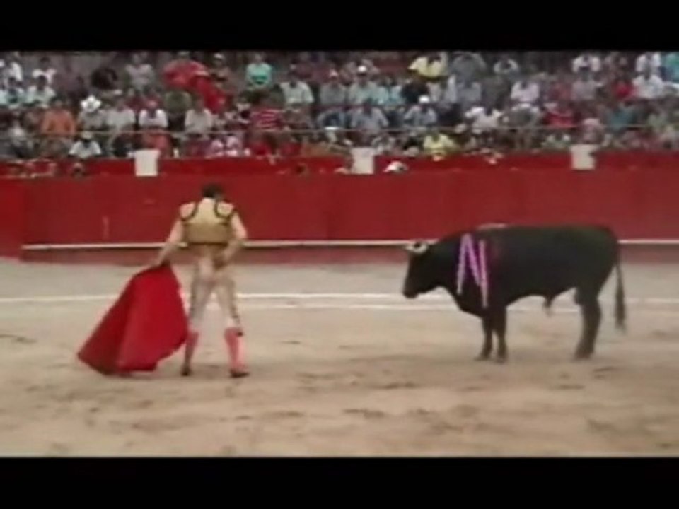 Faena de Jose Alberto en la Maestranza de Maracay