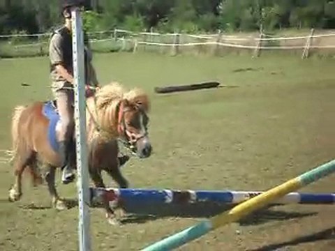 prépa g5: allez, enchainons barres au sol et qq cavalettis