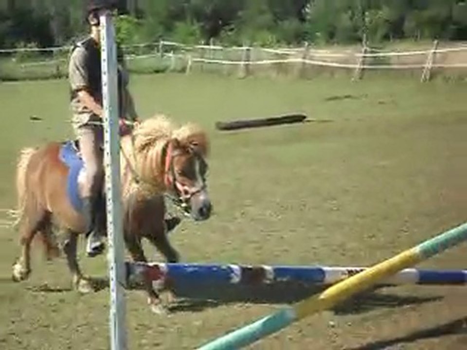 prépa g5: allez, enchainons barres au sol et qq cavalettis