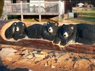 ARTISTIC PULSE when the motor sing saw