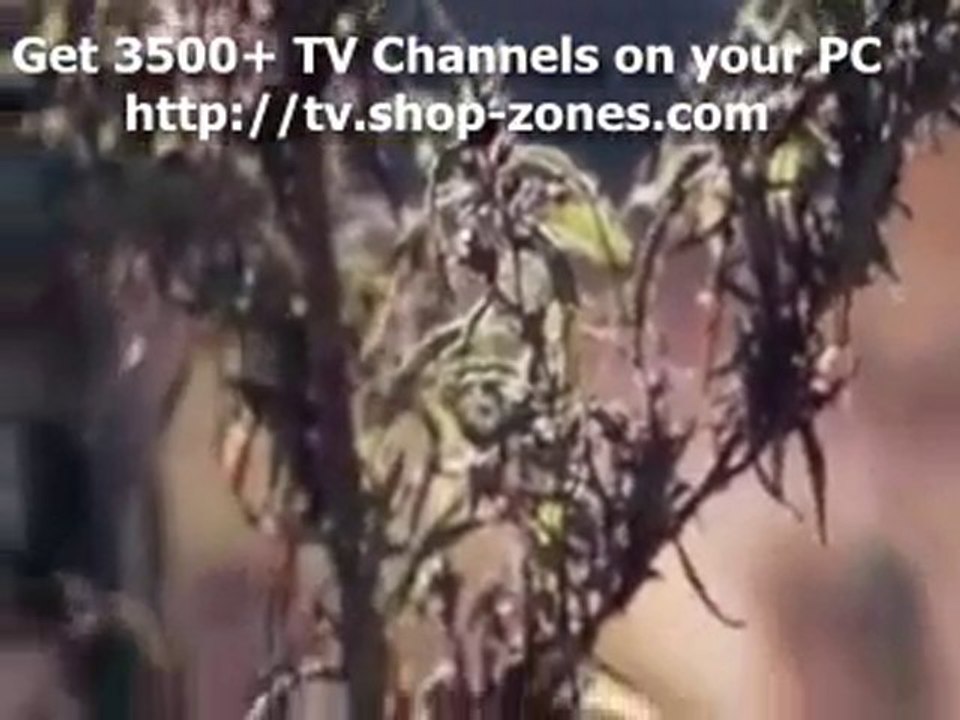 BBC Horizon 2009 Cannabis Documentary 1