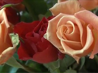 MA BOITE A OUTILS - Fleuriste