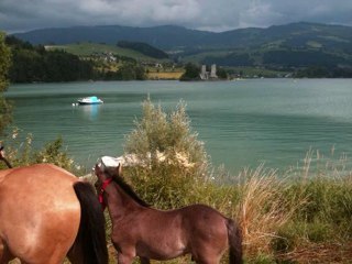 1ers apprentissages d'Altaïr