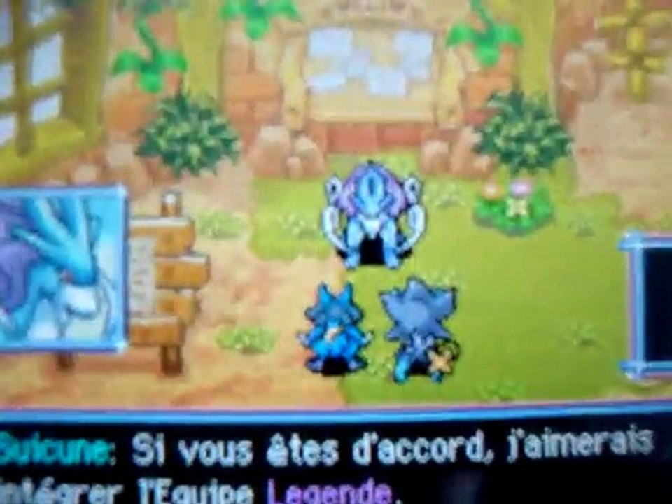 Recrutement de SUICUNE