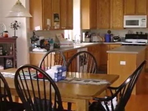 Homes for Sale - 1428 Aster Ln - Bolingbrook, IL 60490 - Col
