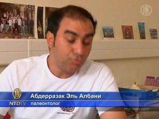 Обнаружены самые древние многоклеточные