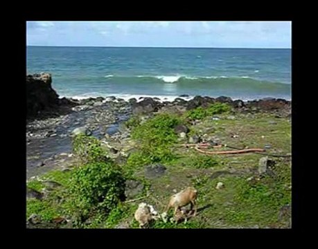 MARTINIQUE Macouba sur outre-mer.fr