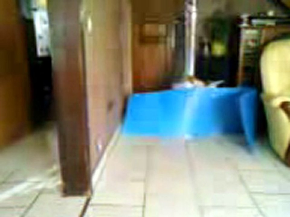 Vidéo 0436