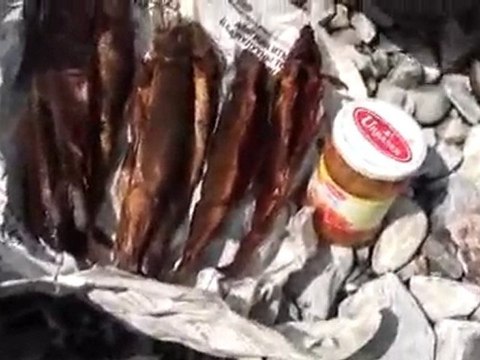 31.takaとkayoの世界旅行★フブスグル湖(2日目)inモンゴル 世界遺産 動画