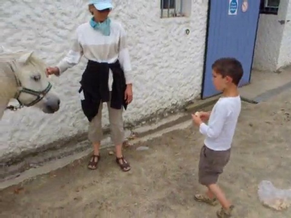 seance cheval 2 avec valerie