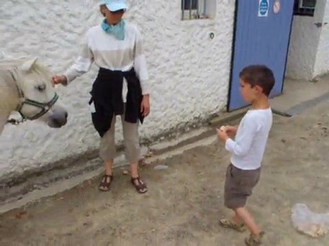 seance cheval 2 avec valerie