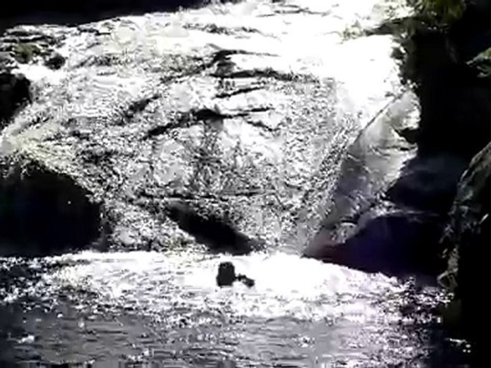 20100701 Clara toboggan torrent Corse