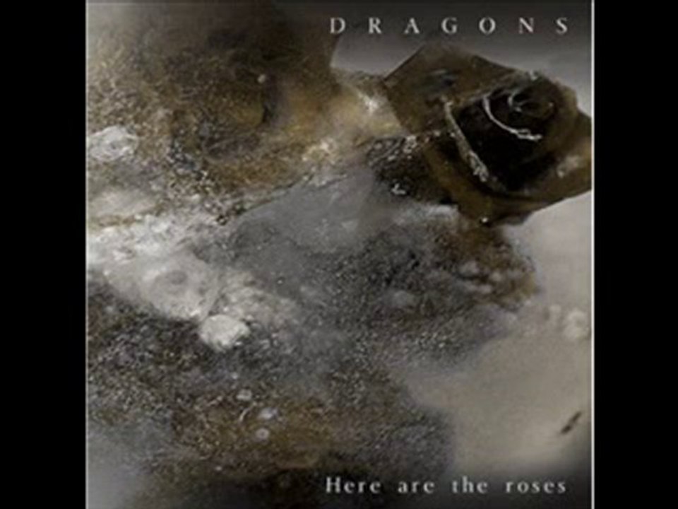 DRAGONS -  trust