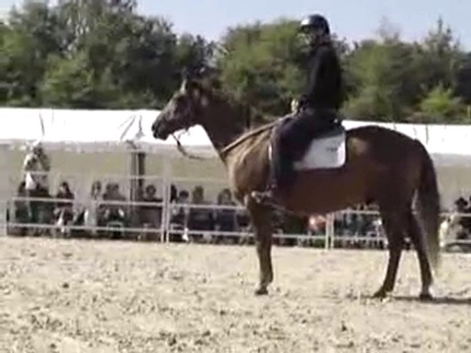 Thierry Lhermitte et Andy Booth - 8ème rdv étho de la cense