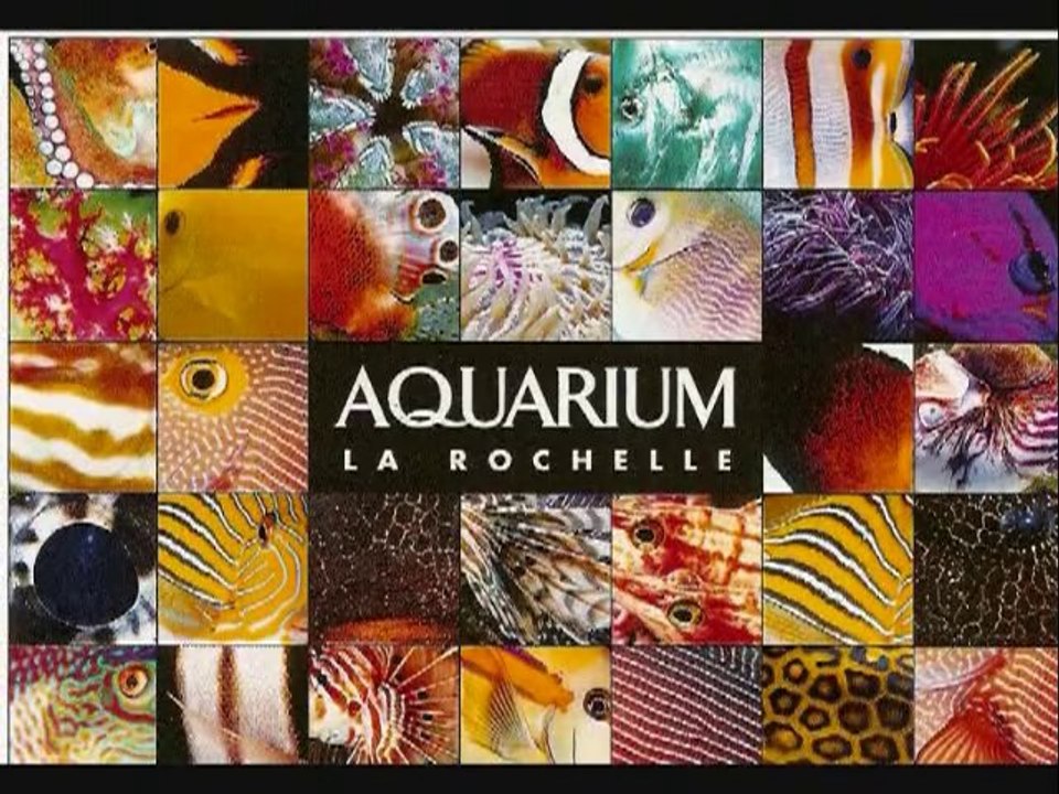 LA ROCHELLE - Aquarium