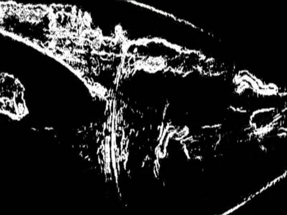 AfterShow Couture On Aura Tout Vu au Vip Room Paris