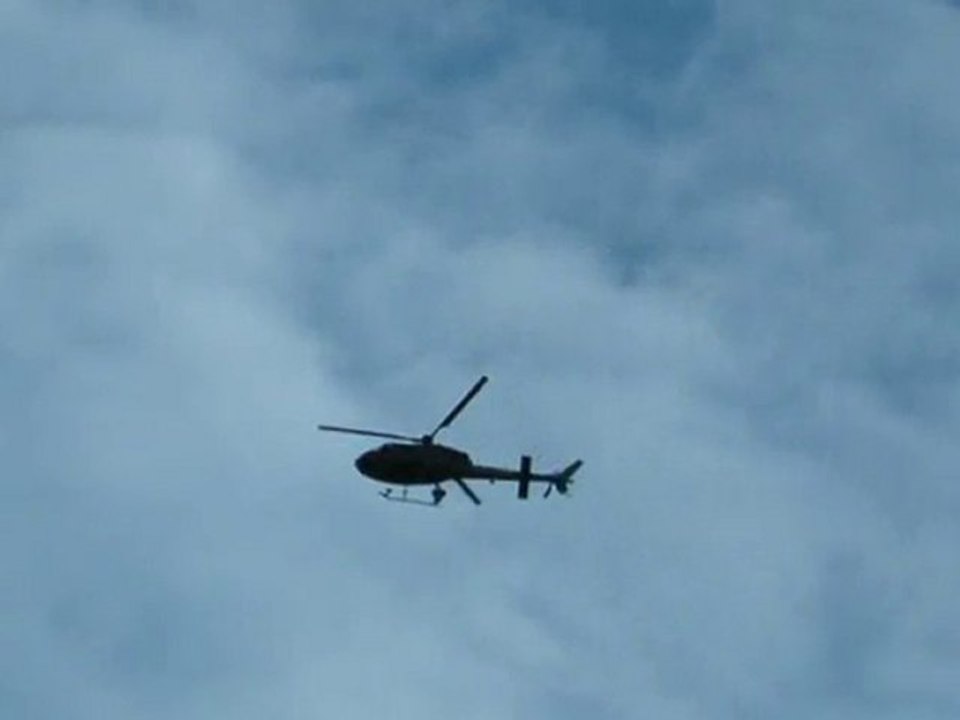 Défilé du 14 juillet 2010 Paris Champs Elysées