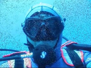 ayvalikdalis2temmuz2010