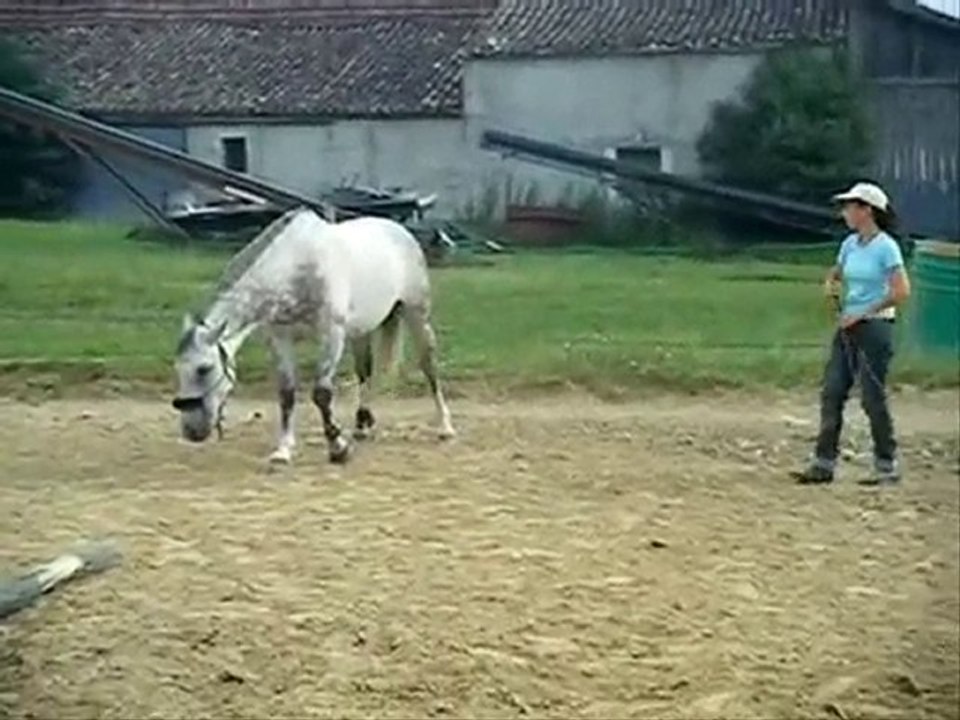 Mickado ethologie