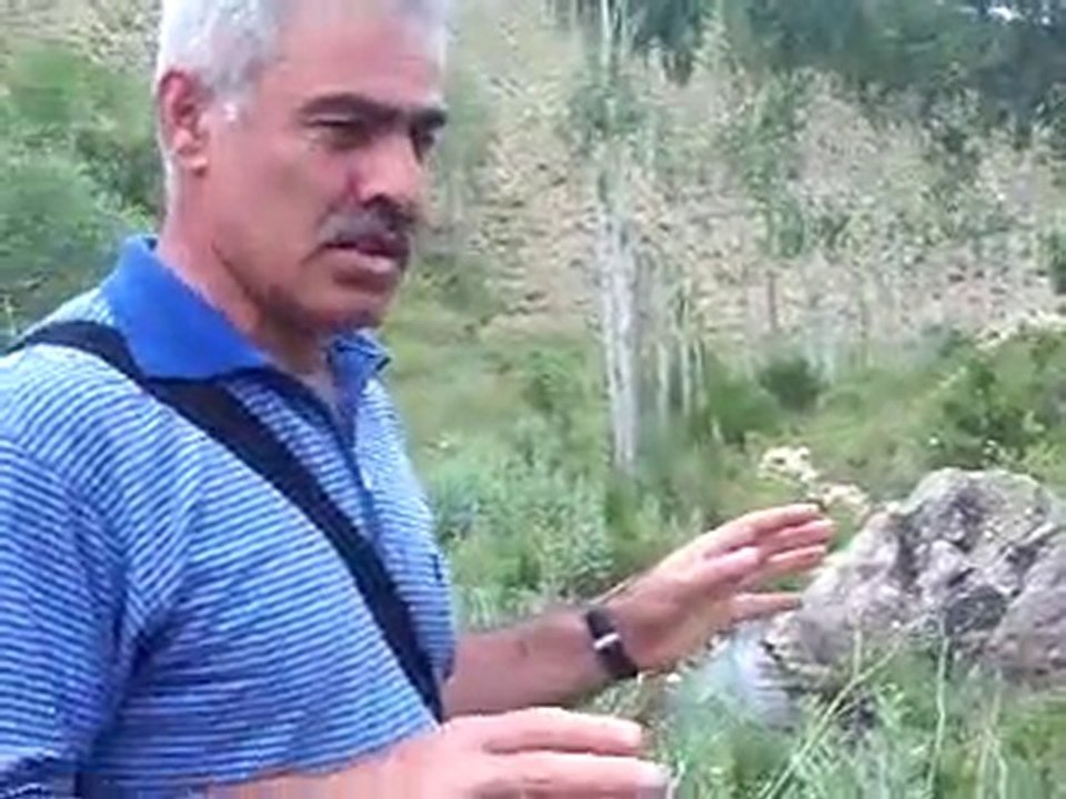 ÇAMBAŞI KÖYÜ KARAPAHAR SU KAYNAĞI