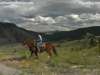 Free Horseback Riding Stock Footage
