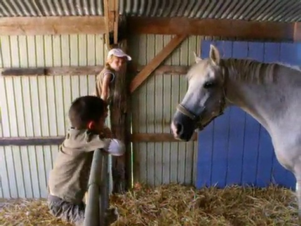 seance cheval 10 juillet 2010 3