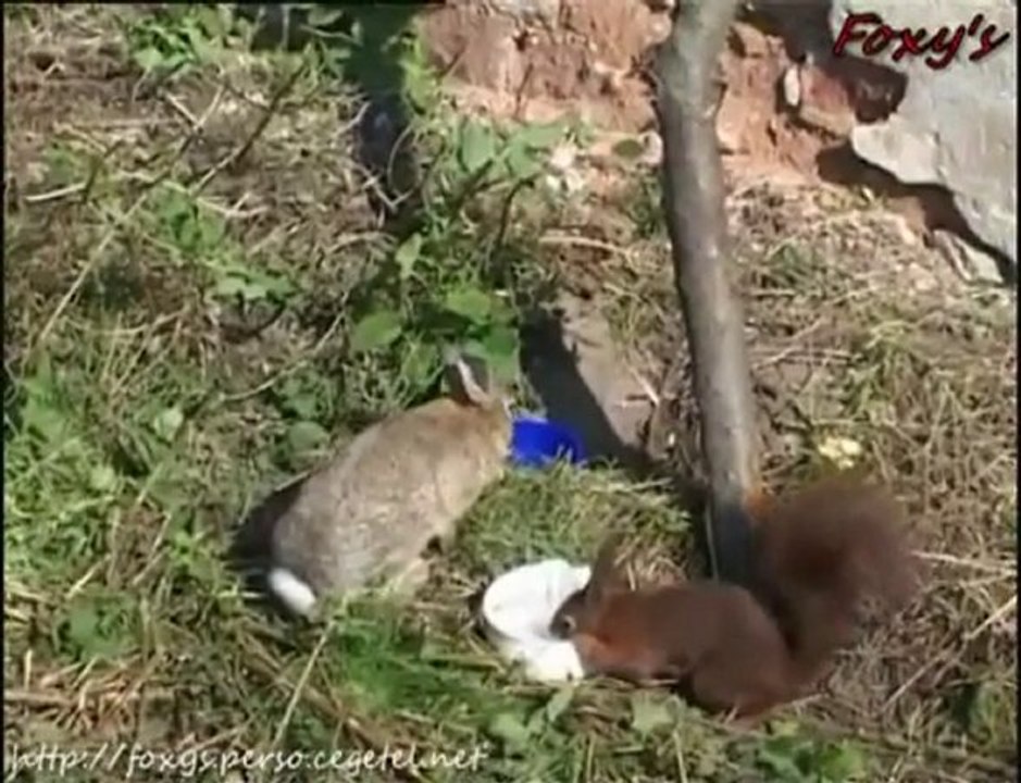 Réalisation de "Le Lièvre de Vatanen" avec Ben