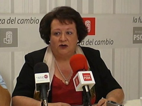 SOCIALISTAS EN LAS INSTITUCIONES