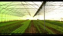 ECOSEIVA-AGRICULTURA BIOLÓGICA