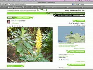 Tutoriel pour classer des médias sur le site les Taxinomes