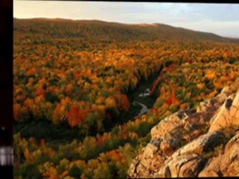 Birmingham MI Homes for Sale