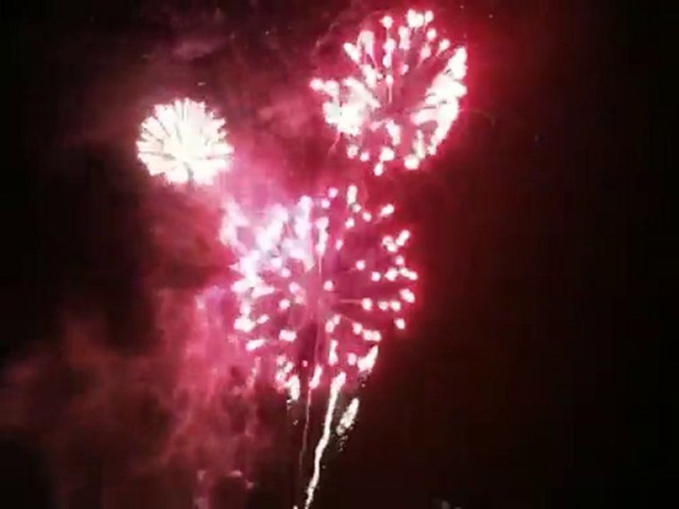 Feux D'artifice De Vienne (38) 2010 (Bouquet Final)