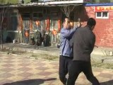 Bagua Zhang - Techniques de combat