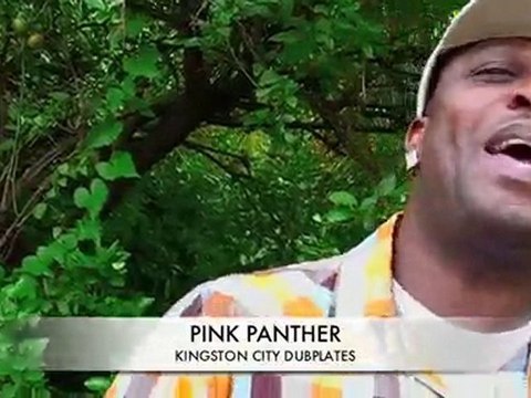 Kingston City Dubplates (Black Kat Pink Panther)