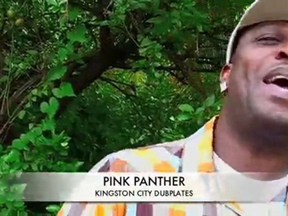 Kingston City Dubplates (Black Kat Pink Panther)