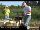 How to set up a bee hive.
