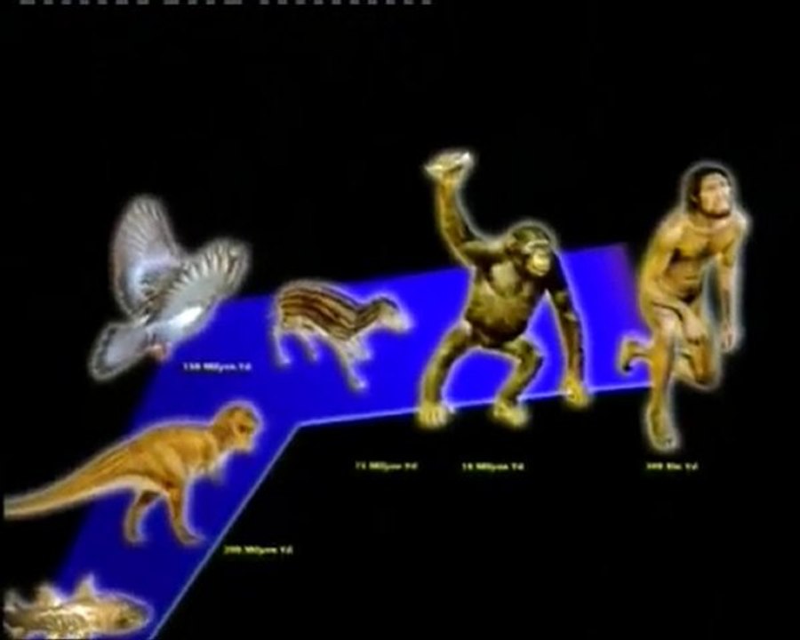 LA CHUTE DU DARWINISME ET LA CRÉATION - 1/4