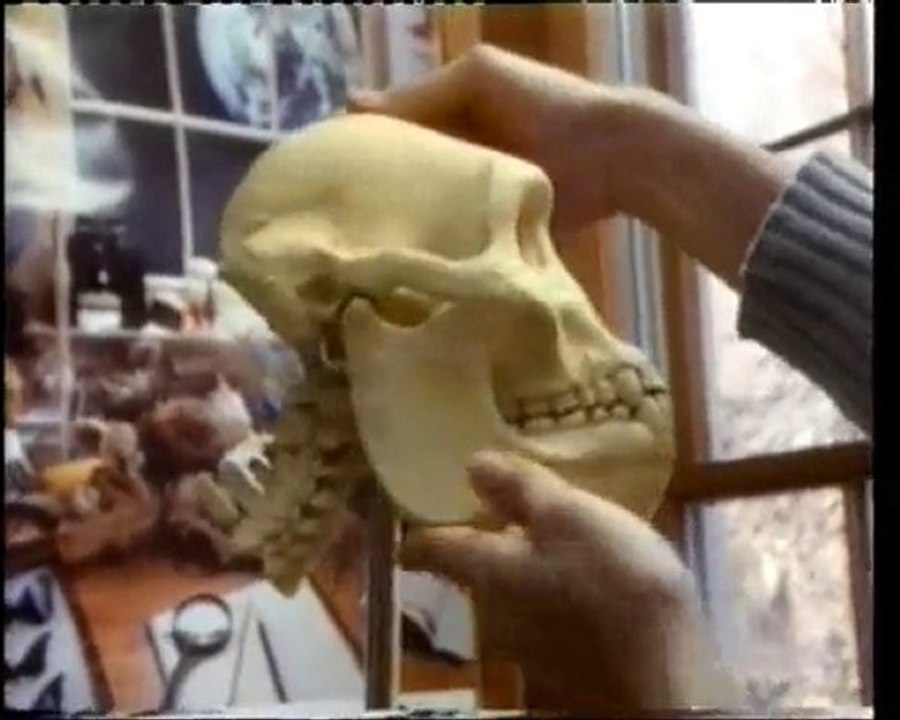 LA CHUTE DU DARWINISME ET LA CRÉATION - 4/4