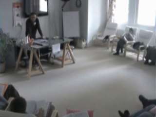 hipnozla ilgili yanlis inanclar 5